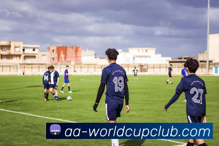 世界杯规则平台生态图