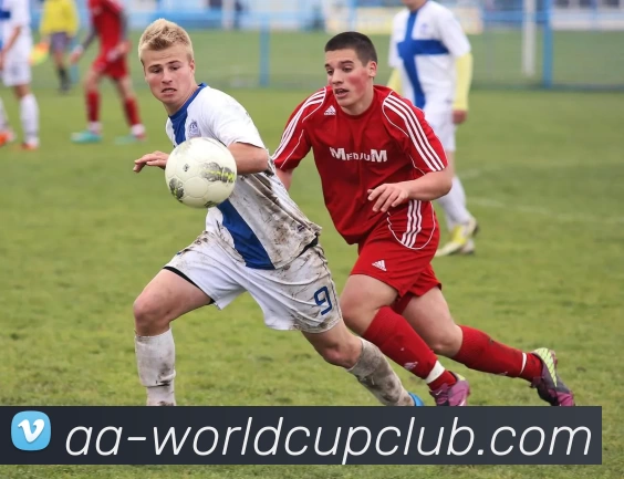 世界杯规则全站App